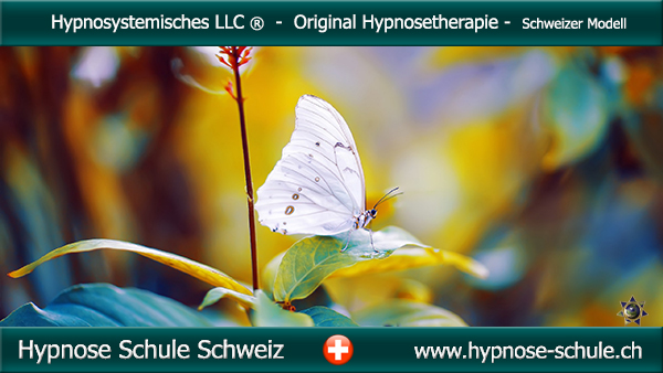 image-8335583-Hypnose_Schule_Ausbildung_Schweiz.jpg